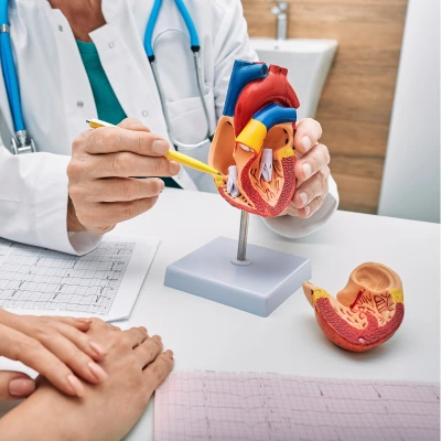 cardiologia